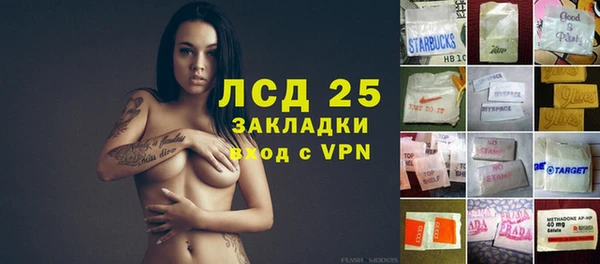твердый Алзамай